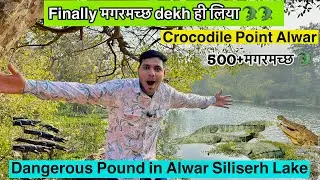 Siliserh lake alwar | Crocodile point alwar | finally मगरमच्छ dekh liya | silised lake alwar