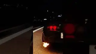 LOUD 2-Step Supra #Shorts