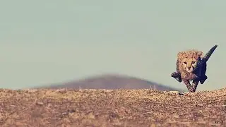 бизнес-школа GGroup