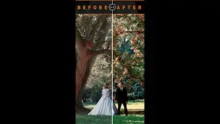 Color Grading - Wedding - Get Pro Film Look 02 - SOLMEDIA #shorts