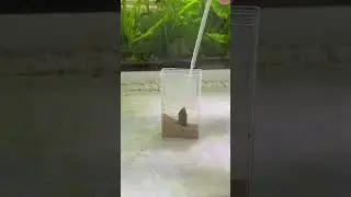Making a micro fish tank! #aquarium #subscribe #viral