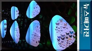 Fantastic Bug Encounters! | Field Museum 곤충전