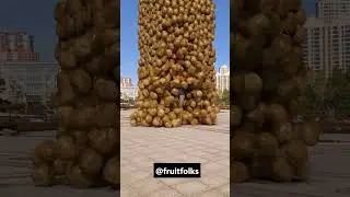 Vegetable Collision Scatter Effect 🥔