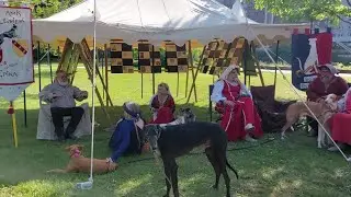 Imaginales 2023 & F&ecirc;te des images, &Eacute;pinal - France 🇫🇷