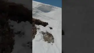 Baby Bear vs Mountain Ditch