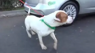 KAISER'S FREEDOM VIDEO!