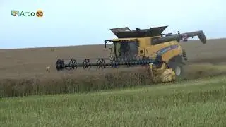 Демонстрационна жътва с комбайн New Holland CR 9.90 в с. Козловец