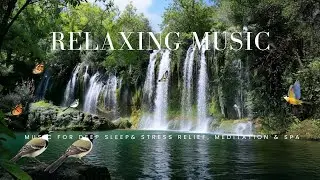 Relaxation Piano Music - Soft Water and Bird Sound, Healing Sleep Music for Insomnia and Deep Rest