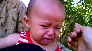 Chi Coh La O Hạo 