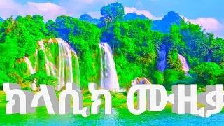 🌿🌿🌿Relax  Collection Music, Classical music new 170,  video የእንስሳት ቪዲዮ