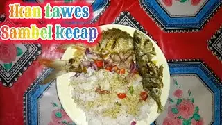 Ikan tawes sambel kecap #ikan #fypfood #foodfyp #foodie #foodies #foodvlogers #fypdong #sambel #fyp