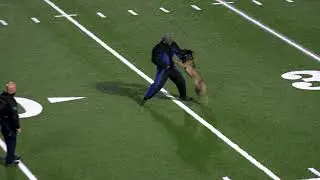 Police K9 attack demo USPCA PD1
