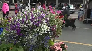 Annual Flower Day celebration returns to Detroit's Eastern Market