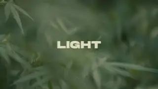 Takatak - Light (Official Music Video)