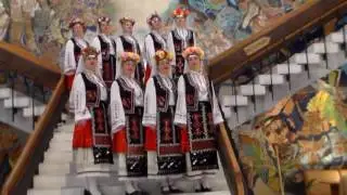 Овчар през гора