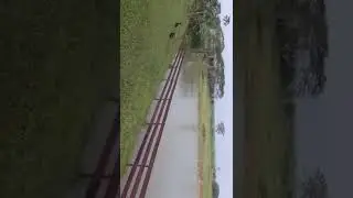 sitio na capelinha pra vender 3 algueiros 34997971440 zap