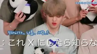 [쿱정/겸한] 하니의 사랑을 모르는 쿲과 아는 겸
