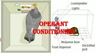 Operant conditioning in Malayalam version