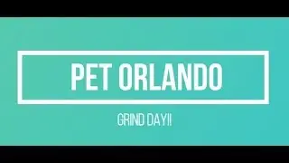 Pet Orlando Grind Day - A Look Behind The Scenes of Making Raw
