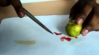 METHYL ORANGE INDICATOR