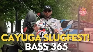 Cayuga Slugfest! By Bass 365 | Bass Fishing