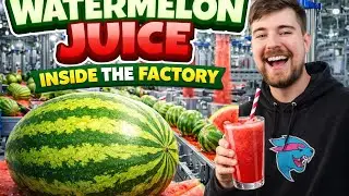Inside the Factory: Making GIANT Watermelon Juice 🍉 | MrBeast Style