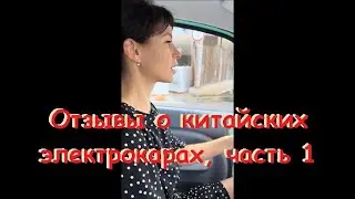 Real Reviews of Chinese Electric Cars. Part 1