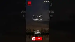 SURAH AL-MA&rsquo;IDAH AYAT 27 (5:27 QURAN) #quran #islamicvideo