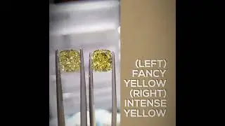 Natural Cushion Cut Fancy Yellow & Fancy Intense Yellow  Diamond