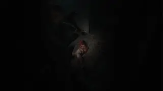 Softlock in the Prison | Silent Hill 2 (2024)