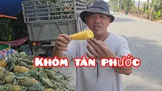 Cuộc sống miền tây đi bán khóm và nấu ăn bụi ở lề đường những ngày cận tết | Khói Bếp Tv