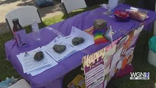 Chicago's Bronzeville Family Fest brings community together despite heat