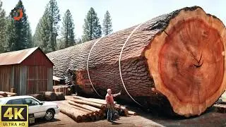 Cutting Through Nature&rsquo;s Wonders to Build a Massive Project: Unveiling Secrets Beneath the Surface