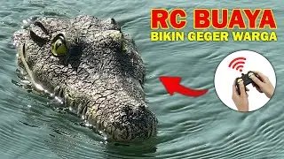 RC Buaya Ini Mirip Buaya Asli
