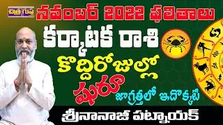 జాగ్రత్తలుతీసుకోండి| KARKATAKA RASI NOVEMBER 2022 TELUGU | KARKATAK RASI | CANCERASTROLOGY | RASIFAL