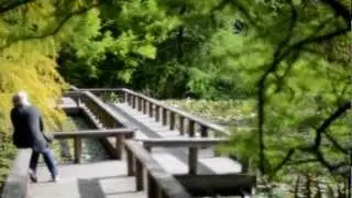 Van Dusen Gardens in the Fall | Sun's Up, Buttercup!