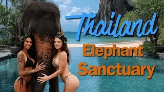 Magical Day at a Thailand Elephant Sanctuary! 🐘