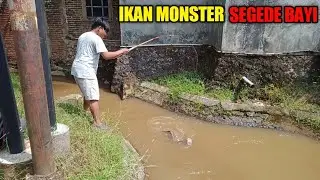 YAKIN KUAT...!!! Strike IKAN MONSTER SEGEDE BAYI || Mancing Di Selokan Perumahan Pinggir Jalan