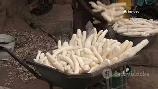 Seasonal Food and First Nations Wisdom