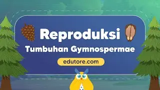 Reproduksi Tumbuhan Gymnospermae #BelajarDiRumah