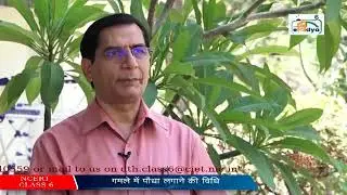 NCERT - PM eVidya Class 6 Live Stream