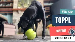 Stop Feeding From a Dog Bowl! A West Paw Toppl Review