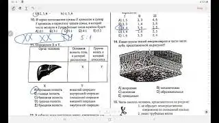 Вступительный экзамен/ДИМ/Биология/ 4 группа/5.06.2022/.