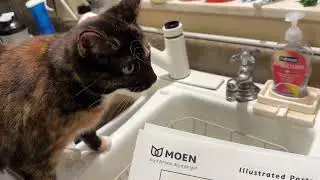 How to Replace Moen 1225 Cartridge in OLD Style Valve Body (87540) - One Handle Kitchen Faucet