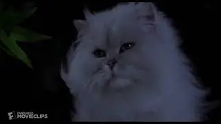 SpongeBob And Patrick's Reaction: Stuart Little