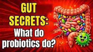 Your Gut Controls Your Health 🧠🦠Why Probiotics Really Matter