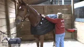 Blanket Liner from Adjusta-Fit