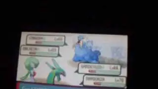 Juan is a poor gym leader.