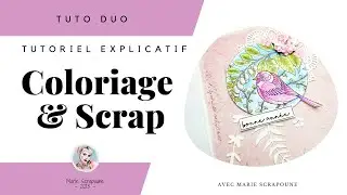 Astuce & Tuto - Apprendre le coloriage & le Scrapbooking cr&eacute;ation Carterie je vous explique tout