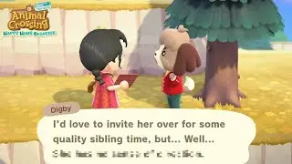 The REAL REASON Isabelle & Digby Have Grown Apart | Animal Crossing Twins | ACNH Siblings Secret